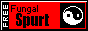 Baja_3250_images_sbut1