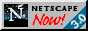 CapeCanaveral_Lab_1986_netscape