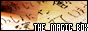 Colosseum_Slope_7193_MagicBox