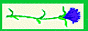 Heartland_Acres_1731_animwren