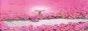 Ohtori_Academy_Mokushirokuani