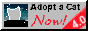 Petsburgh_4211_catadopt