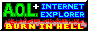 ResearchTriangle_Forum_1611_pc_burn