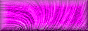 SiliconValley_7255_images_180