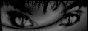 SoHo_Suite_3427_swirlban
