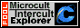 SouthBeach_1915_microcult