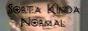 SouthBeach_Bungalow_5678_sknbanner