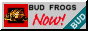 TimesSquare_Arcade_6241_BUDFROGS