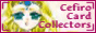 Tokyo_Blossom_3840_CCCButton2