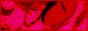 anime_glam_inuyasha_button1