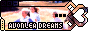 avonleadreams1_linkme-88x31-7