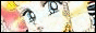 bunnykat8962_ctnewanibutton
