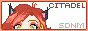 dollcitadel_Link2