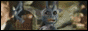 freedomof2003_ss88x31_1
