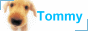 hk.geocities.com_duck12342011_Tommylogo