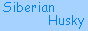 hk.geocities.com_jadechin_2000_pic_j