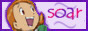 soracarina_swlbutton02