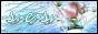 toray_tayler_SMbutton24