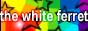 whoawicked_codes_whiteferret