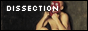 dissection