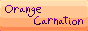 orangecarnation