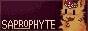 saprophyte