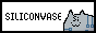 siliconvase