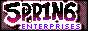 spring-enterprises