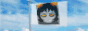 vasterror