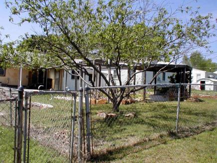 House 3 back view