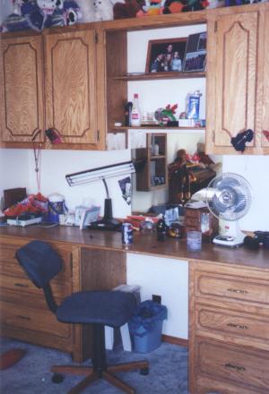 barbaras_house_ambers_desk.jpg (24489 bytes)