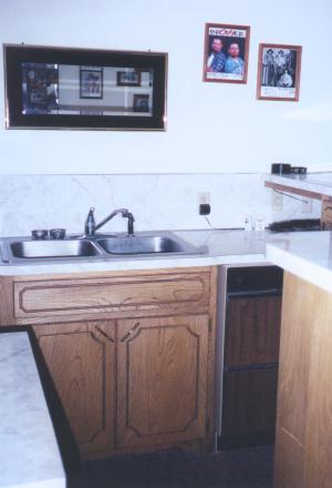 barbaras_house_gameroom_bar3.jpg (17223 bytes)