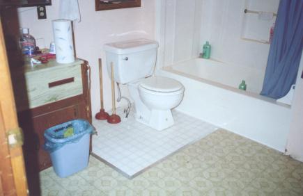 big_house2_remodel04.jpg (16204 bytes)