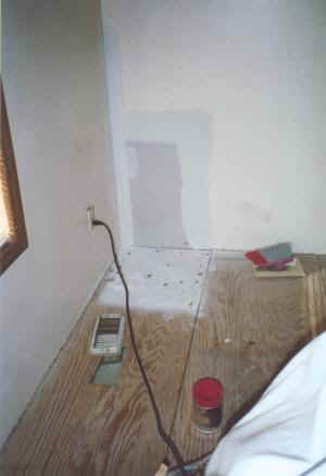 big_house2_stillwater_remodel1.jpg (13190 bytes)