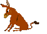 Kicking donkey