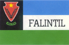 bandeira.gif (20692 bytes)