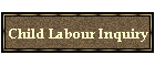 Child Labour Inquiry