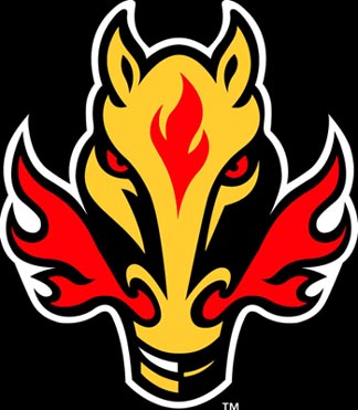 The 1989 Stanley Cup Champs - The Calgary Flames!