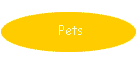 Pets