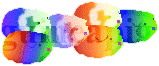 Rainbow Coloured Guinea Pigs