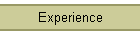 Experience