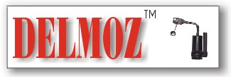 Logo DELMOZ