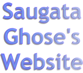 Saugata Ghose's WebSite