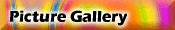 Picture Gallery