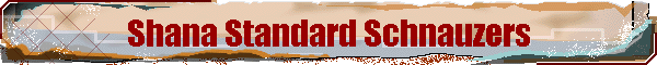 index_htm_cmp_construc110_bnr.gif (12995 bytes)
