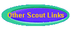 Other Scout Links