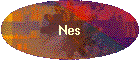 Nes