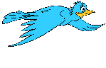 bird #4