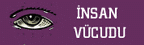 nsan Vcudu